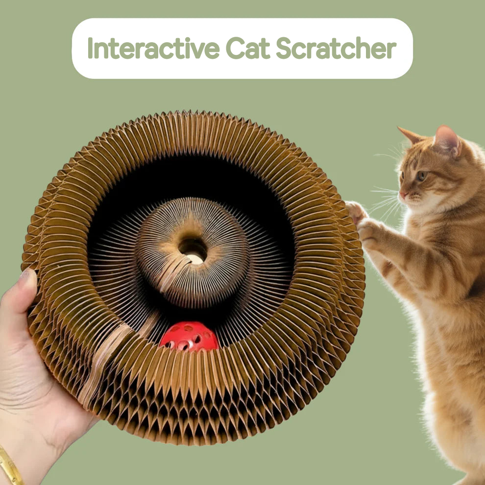 ScratchNest Foldable Cat Board