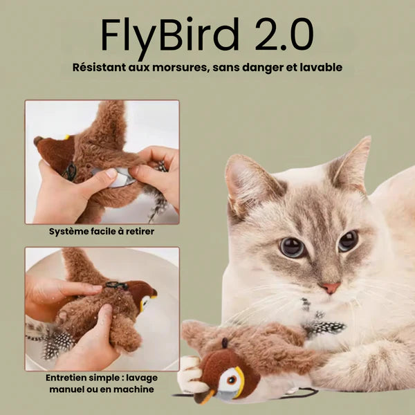 FlutterPaw Smart Bird Toy