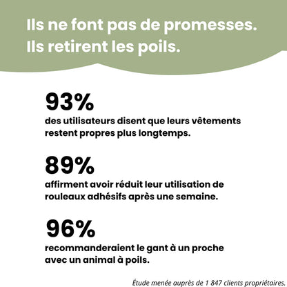 PawClean Hair Remover Glove